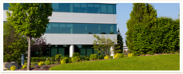 Commercial Services