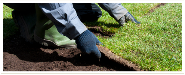 installation services
