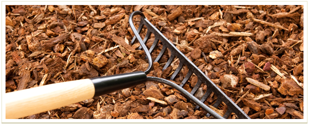 Professional Landscaping & Turf Control