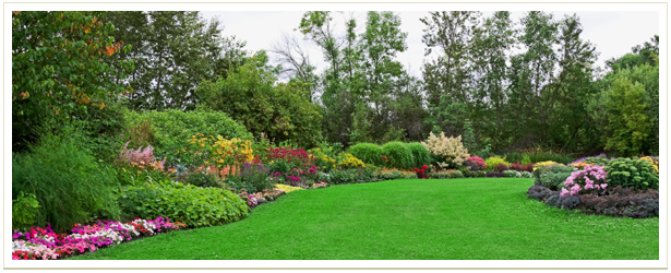 lawn care