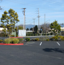 DSCN2600.jpg
