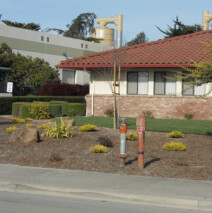DSCN2604.jpg