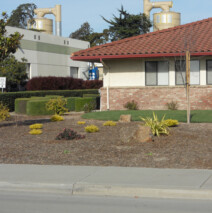DSCN2605.jpg