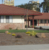 DSCN2607.jpg