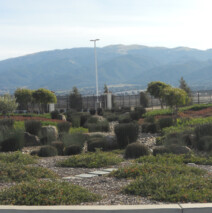 DSCN2610.jpg