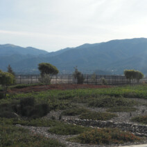 DSCN2611.jpg