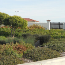 DSCN2613.jpg