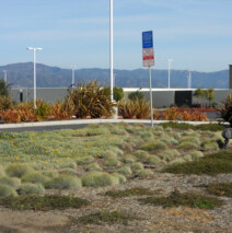 DSCN2614.jpg