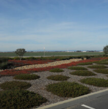 DSCN2617.jpg