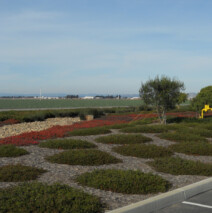 DSCN2618.jpg