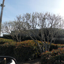 DSCN2620.jpg