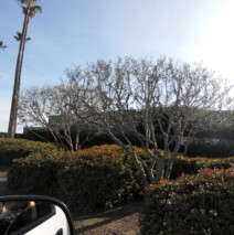 DSCN2621.jpg