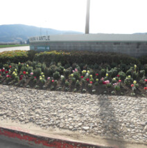 DSCN2622.jpg