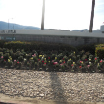 DSCN2623.jpg