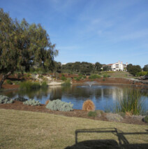 DSCN2625.jpg