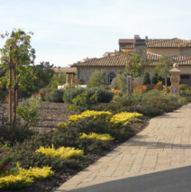 DSCN2627.jpg
