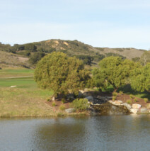 DSCN2630.jpg