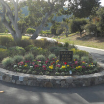 DSCN2631.jpg
