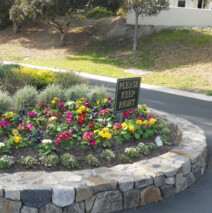 DSCN2632.jpg