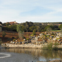 DSCN2634.jpg