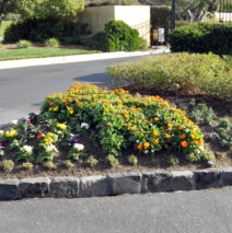 DSCN2635.jpg