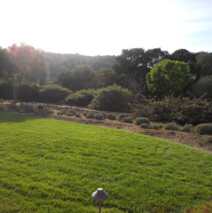 DSCN2636.jpg