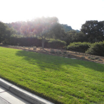 DSCN2637.jpg