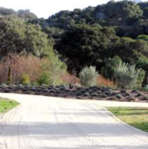 DSCN2638.jpg