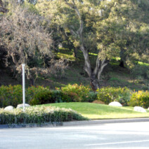 DSCN2639.jpg
