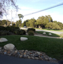 DSCN2640.jpg