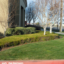 DSCN2645.jpg
