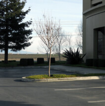 DSCN2646.jpg