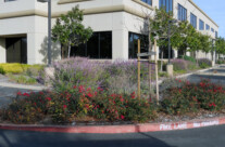 DSCN2650.jpg