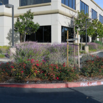 DSCN2650.jpg