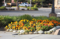 DSCN2654.jpg