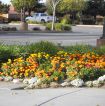 DSCN2654.jpg
