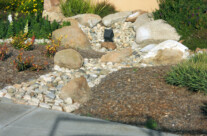 DSCN2656.jpg