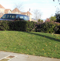 DSCN2657.jpg